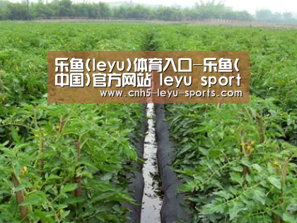 种植基地三