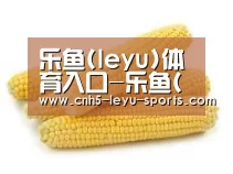 产品名称五
