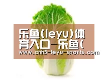 产品名称一(图1)