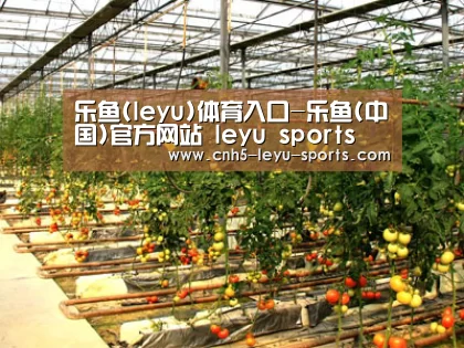 种植基地二(图1)