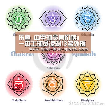 乐鱼_中甲球员身价榜:一本土球员凌驾13名外援!穆里奇未进前十(图2) 乐鱼登陆