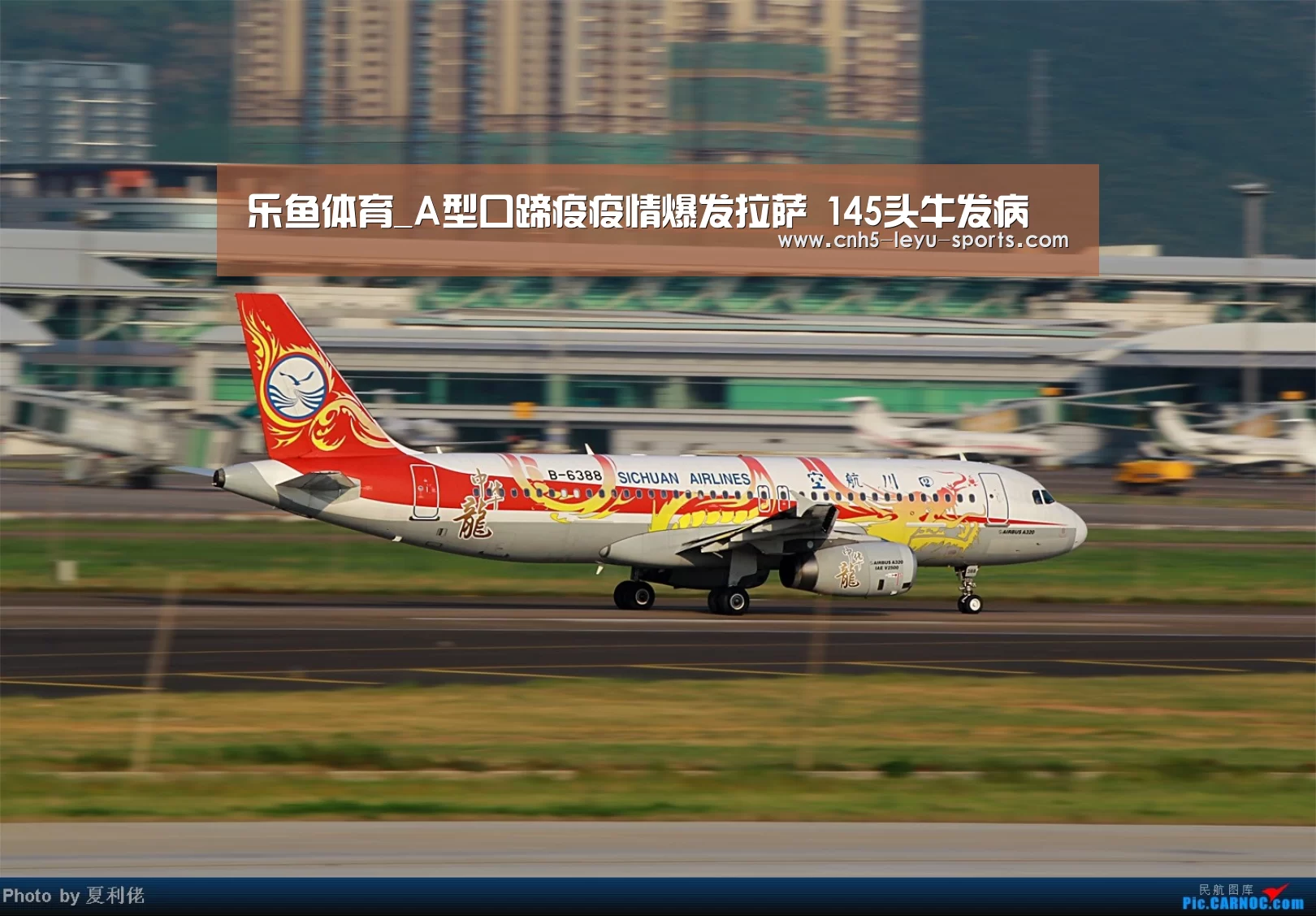 乐鱼体育_A型口蹄疫疫情爆发拉萨 145头牛发病(图3) 乐鱼app