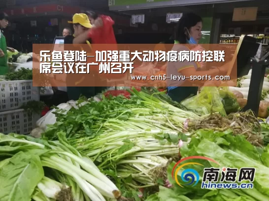 乐鱼