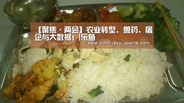 乐鱼登陆
