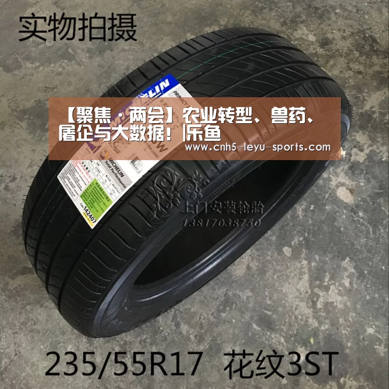 乐鱼