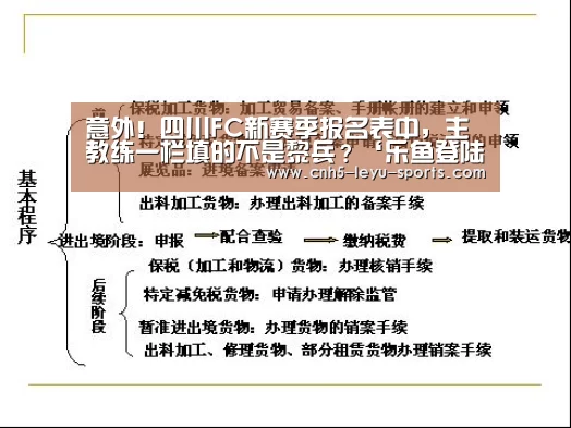 意外!四川FC新赛季报名表中,主教练一栏填的不是黎兵?‘乐鱼登陆’(图1) 乐鱼app
