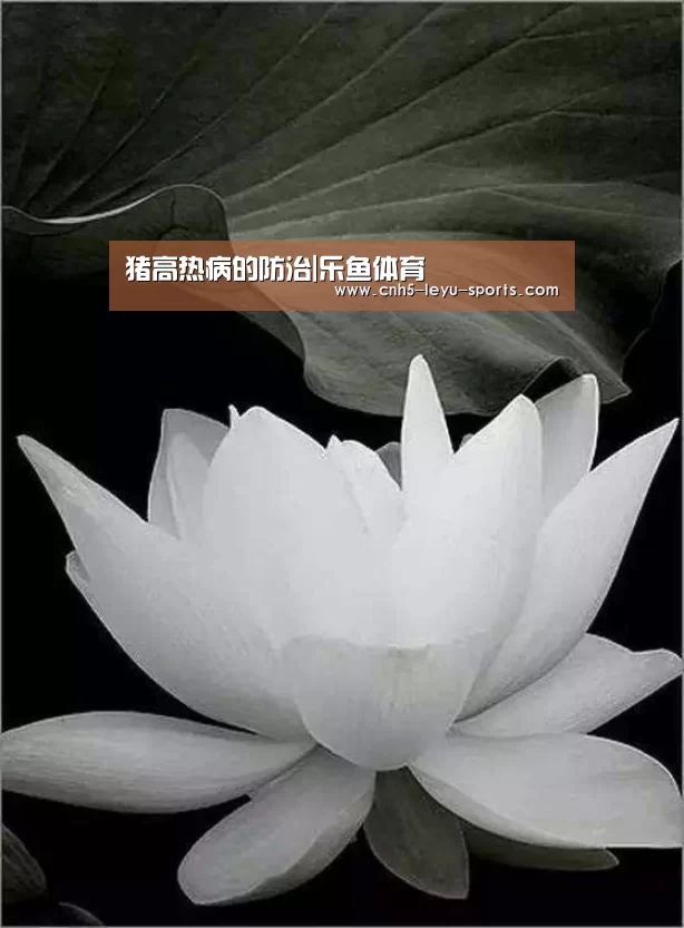 猪高热病的防治|乐鱼体育(图2) 乐鱼体育